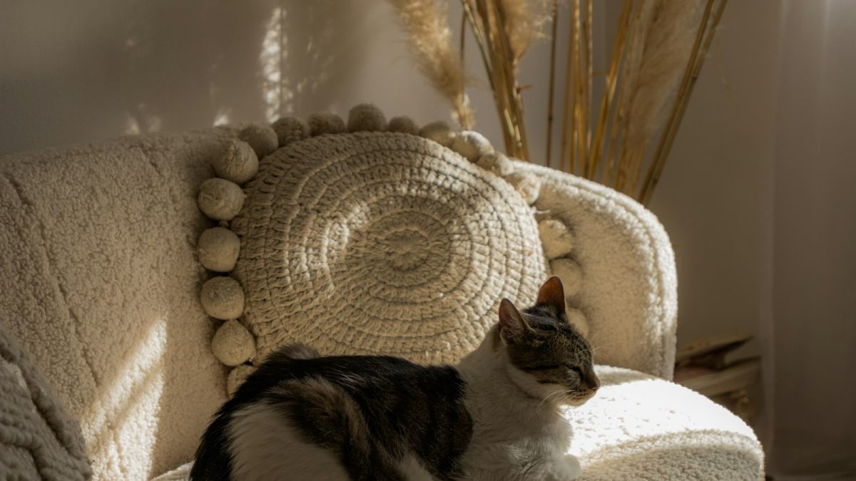 Home staging: 7 vecí pred fotením